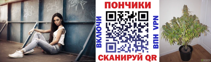 Продажа наркотиков Магадан COCAIN  Псилоцибиновые грибы  ГАШ  Меф  А ПВП 