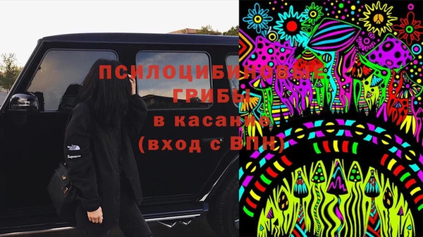 индика Новодвинск