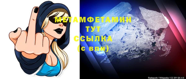 индика Новодвинск