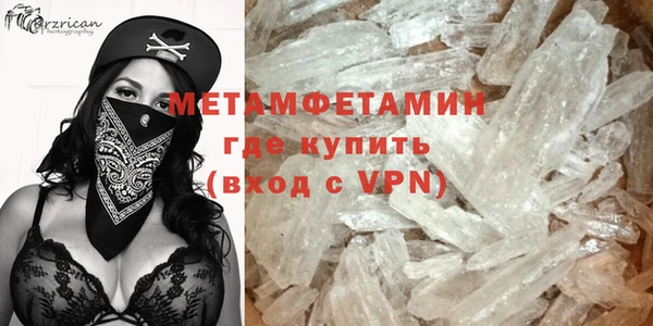 индика Новодвинск