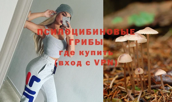 ALPHA PVP Нея