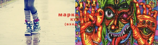 стафф Новозыбков