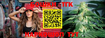 PSILOCYBIN Гатчина