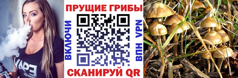 Псилоцибиновые грибы MAGIC MUSHROOMS Магадан